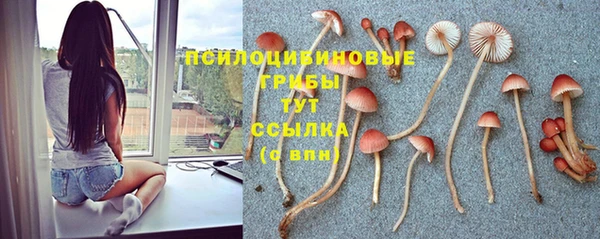 скорость mdpv Гусь-Хрустальный