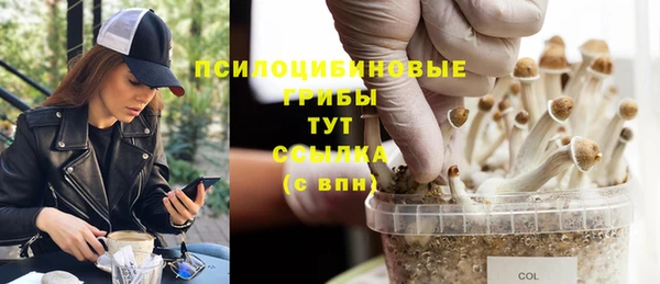 мдпв Гусиноозёрск