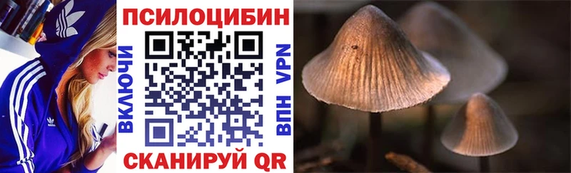 Псилоцибиновые грибы мицелий  Альметьевск 