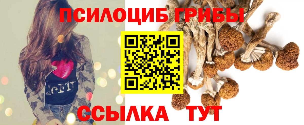 Псилоцибиновые грибы мицелий  Вход с VPN  Альметьевск  Псилоцибиновые грибы мицелий 